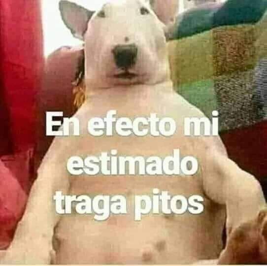 AomXiae's tweet photo. @Seergiot3ck A llorar a la lloreria https://t.co/GAbt5iWcTX
