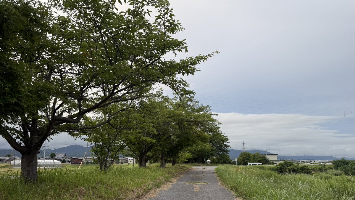 NUf9d's tweet photo. おはようございます😌😌
朝の景色です👍👍👍👍
本日もよろしくお願いします🥤🥤🥤😆🎶✨🍀👍 https://t.co/PDyo93JgDg
