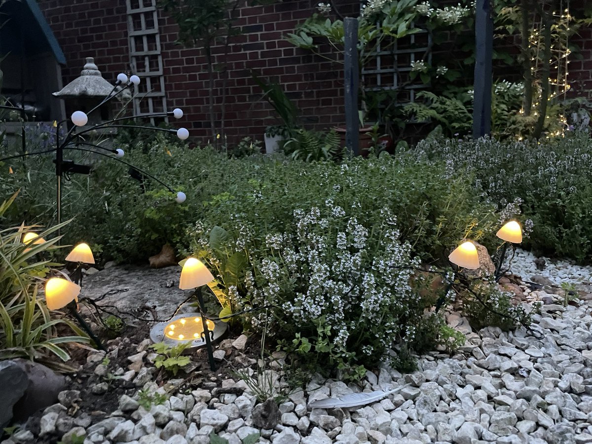 grahamsrenwick's tweet photo. In the night garden (sorry)…. https://t.co/JceBntWp5j