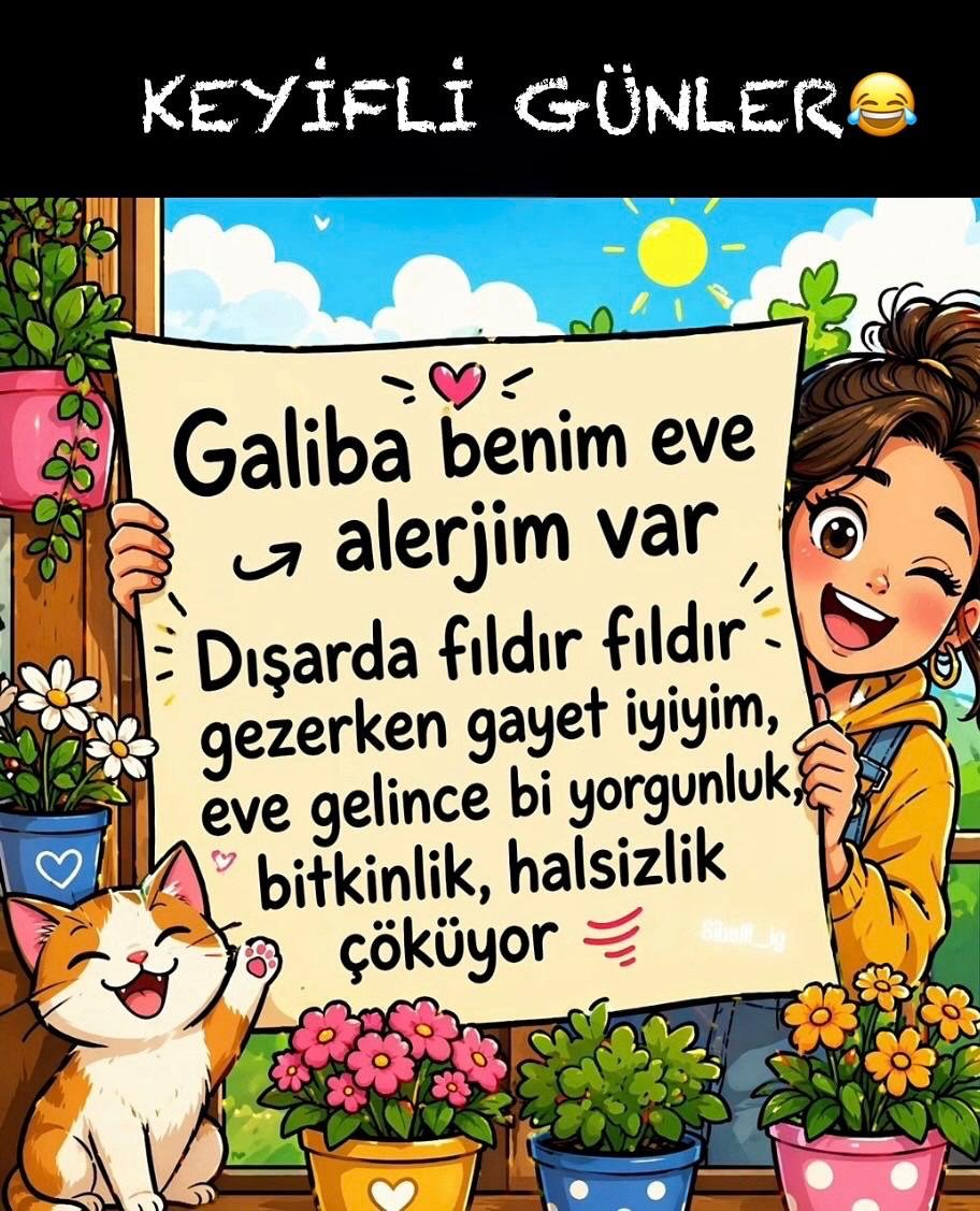 HakanAzak8's tweet photo. https://t.co/hOnNNEPPXC