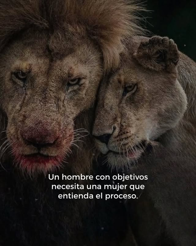 IamJesucristo's tweet photo. 12 duras lecciones que son Ley de Vida:

1. https://t.co/eSTUiCy2pl