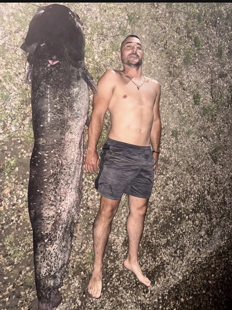 Nyctophile_tw's tweet photo. Znači ne ulazim u vodu kojoj ne vidim dno https://t.co/Xk6XTc7NEh