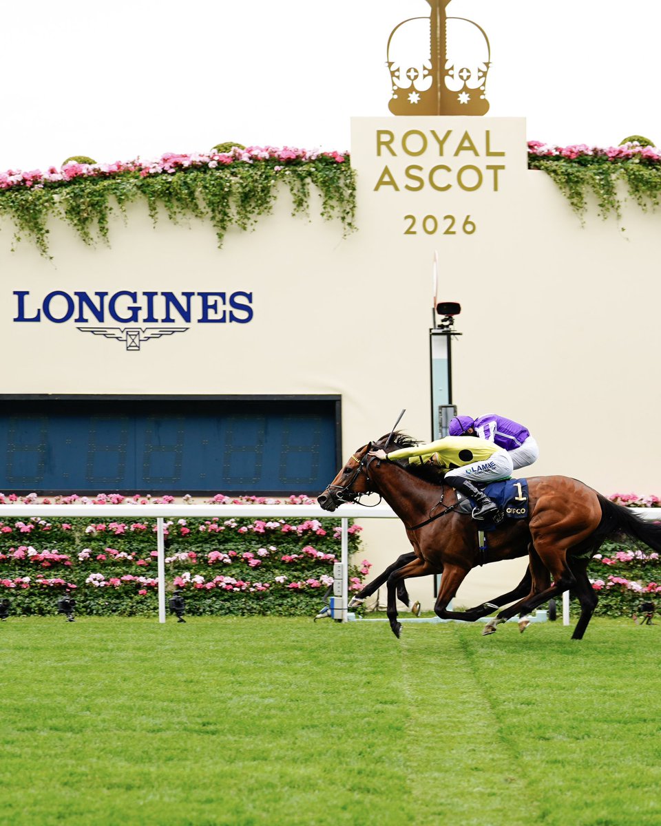 tiempoderelojes's tweet photo. Henry Cavill fue uno de los protagonistas de Royal Ascot 2026 junto a Longines, socio y cronometrador oficial del evento. La ocasión también sirvió para presentar el nuevo Longines Master Collection.

#TiempoDeRelojes #Longines #HenryCavill #RoyalAscot https://t.co/4xNCR5XiA4