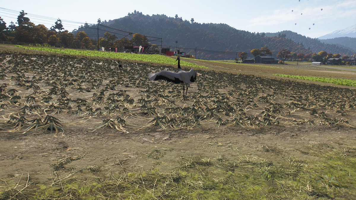sebatan02's tweet photo. パシャ
#ForzaHorizon６ https://t.co/nVmhdTloBr