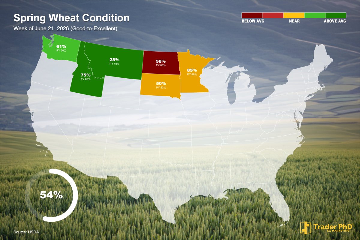 TraderPhD's tweet photo. The latest Crop Progress data rates 68% of this year's corn crop in good-to-excellent condition. Nationwide, soybeans are at 66% good-to-excellent, spring wheat is at 54%, and cotton is at 53%. https://t.co/GNdINBHwnD
