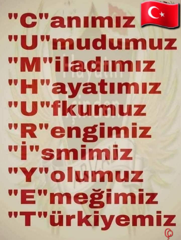 BuldumTurk54562's tweet photo. https://t.co/dY934PAIk1