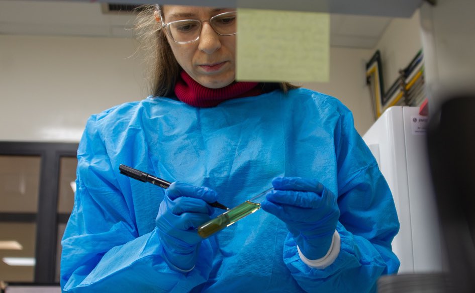 compresidencia's tweet photo. 🧑‍🔬Proyecto de investigación liderado por científica recibirá apoyo económico.

ℹ️ La Secretaría Nacional de Ciencia y Valorización del Conocimiento (Senci), @UNESCO_es y @lorealuruguay Groupe presentaron nueva convocatoria del Premio Por las Mujeres en la Ciencia que apoyará a un proyecto liderado por una científica.  

🗓️ Inscripciones hasta el 17 de julio. 

🔗 https://t.co/NLM5gak2cE
