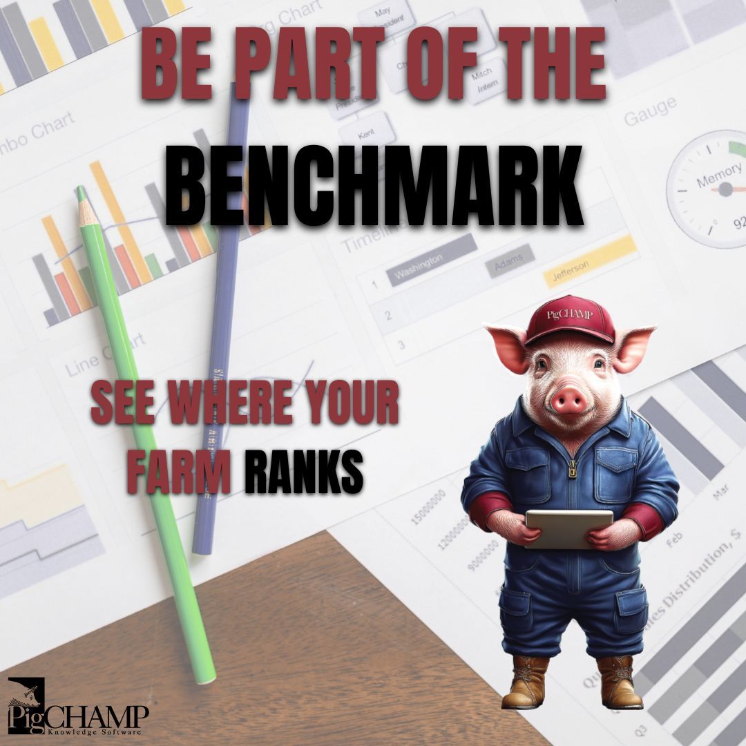 pigchamp's tweet photo. Want to be part of the benchmark?

Share your benchmark data with #PigCHAMP before July 31st to see where your farm ranks!

If you want your data included in the next quarter, send your data to benchmarking@pigchamp.com. 

#PigCHAMP https://t.co/pf0ShW78y3