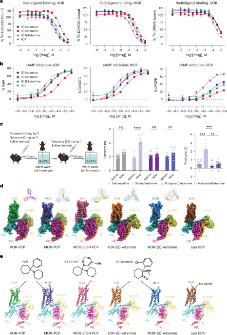 NatureStructMolBiol tweet media