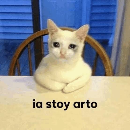 sinestesiAda's tweet photo. Llevo 4 pruebas psicométricas en los últimos 5 días... https://t.co/AWp3uS1eGQ