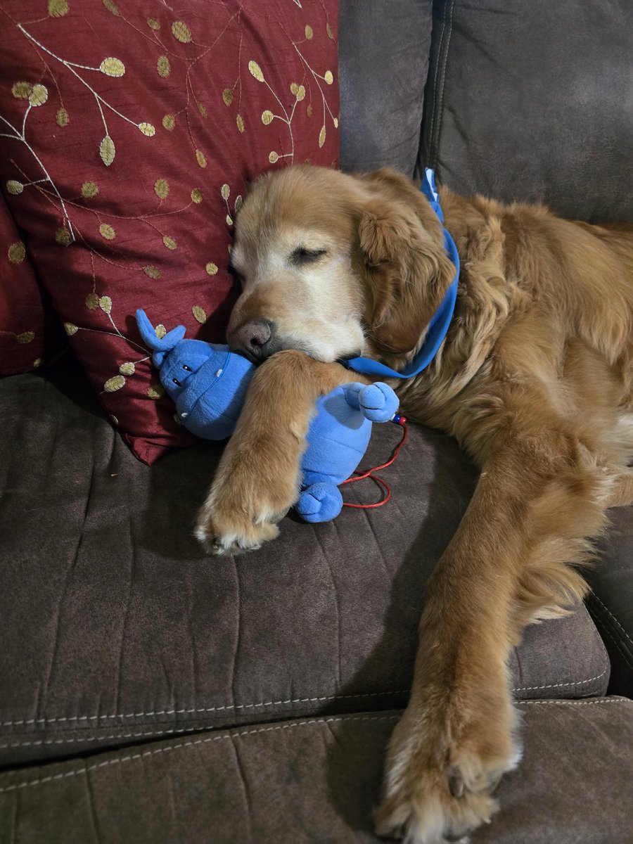 LHAK1's tweet photo. @pvponline Skull snuggling Dogson ❤️ https://t.co/LUnZojMOIC