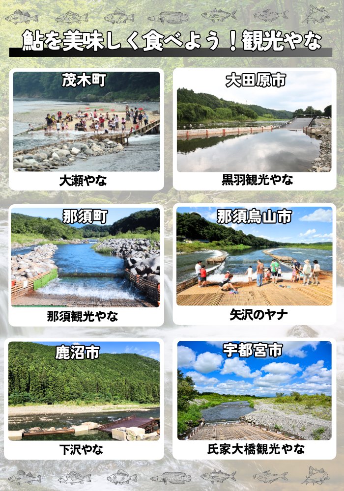 ukiukitochigi's tweet photo. 栃木の夏といえば、やな。

川の流れを利用して鮎を獲る
昔ながらの夏の風物詩。
鮎の塩焼きを食べたり
水遊びをしたり
自然を感じながら過ごせるのも魅力。

今回は
栃木県の観光やな6選をまとめました。

夏になったらぜひ、栃木のやなへ行ってみてね！ https://t.co/aE0hloy2oj