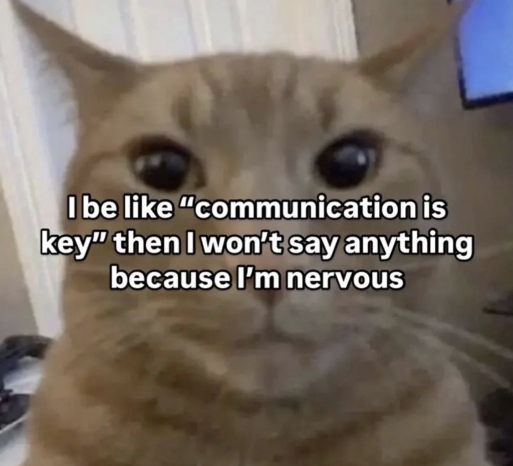 literallymecats's tweet photo. https://t.co/lNQVX3Cdmj