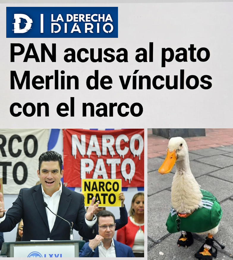 rand0m3e1's tweet photo. El PAN pide se investigue al Pato. https://t.co/wlOnj2Bdkd
