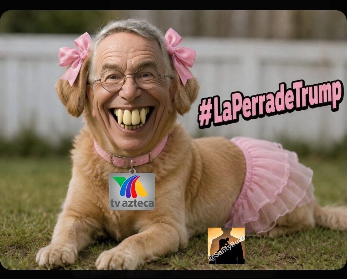 NanoDante6's tweet photo. Señora presidenta @Claudiashein podríamos llevar a la perrita de TRUMP a la mañanera 🤣 https://t.co/d2u4IDcfeT