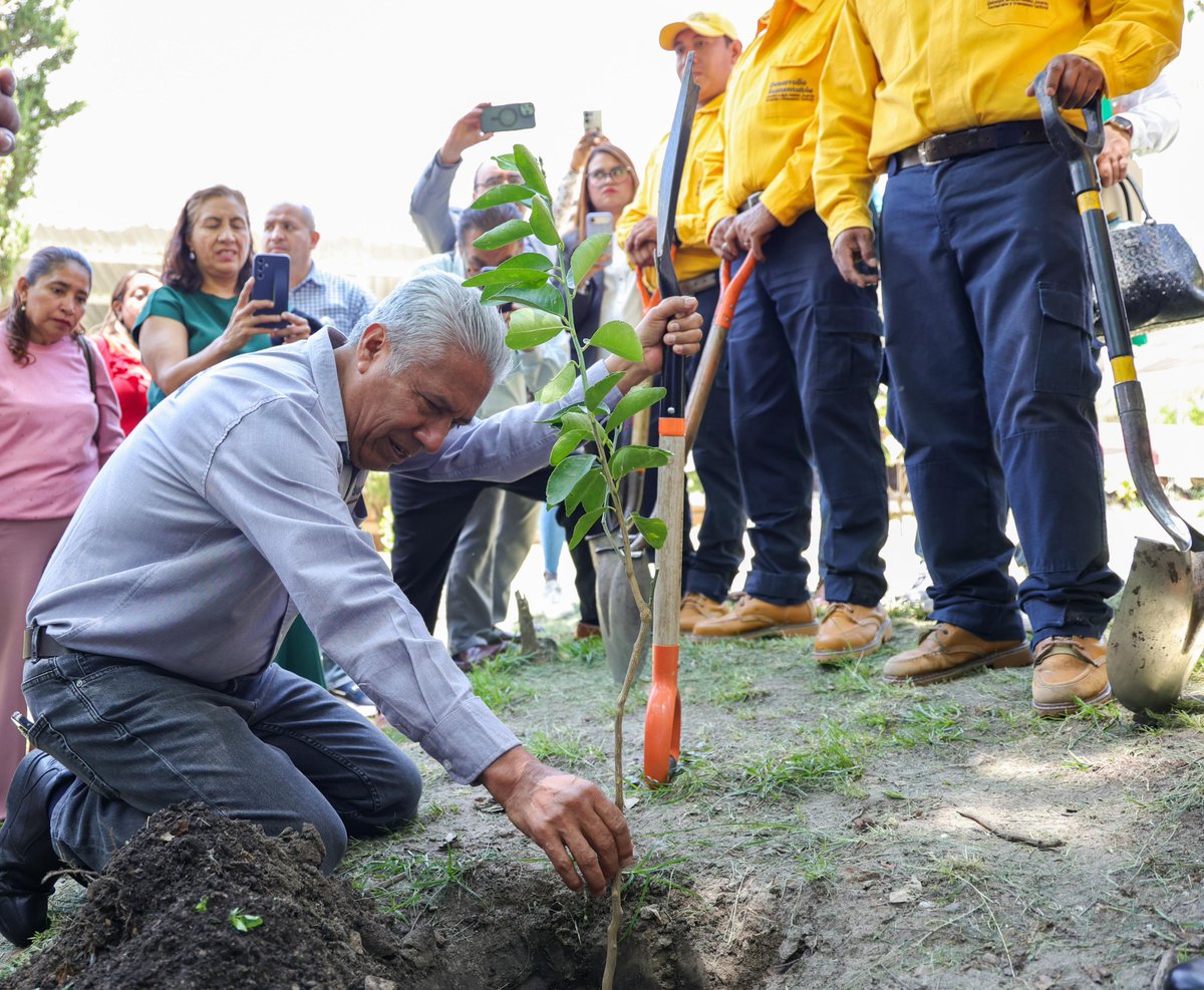 SEPGobPue's tweet photo. ¡Transformamos nuestras escuelas por un futuro más verde! 🌳

Con el objetivo de transformar los espacios escolares mediante la arborización participativa y fomentar la educación ambiental, el secretario @ManuelVive_ asistió al inicio del programa "Pulmones Escolares, #PorAmorAPuebla" en la Escuela Secundaria Técnica 38. Esta iniciativa interinstitucional, impulsada por el @Gob_Puebla, a través de esta dependencia y de la Secretaría de Medio Ambiente, Desarrollo Sustentable y Ordenamiento Territorial (@AmbienteGobPue), beneficiará a estudiantes de escuelas de educación obligatoria de todo el estado. 

En su intervención, Viveros Narciso destacó que el gobernador @armentapuebla_, un humanista cercano a las necesidades del territorio, impulsa esta estrategia educativa para fortalecer la cultura de cuidado ambiental, vida saludable y responsabilidad social, pilares fundamentales de la Nueva Escuela Mexicana.

#PorAmorAPuebla
#PensarEnGrande