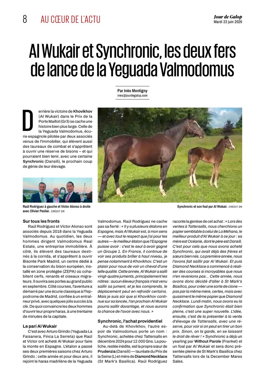 AsoTurfGalop's tweet photo. “Al Wukair et Synchronic, les deux fers de lance de la @YValmodomus” en @Jour_de_Galop por @InesMontigny. https://t.co/tGgjTx39Ld