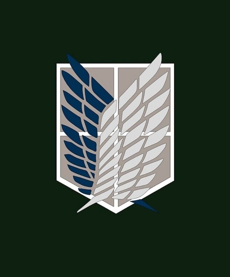 gigi__6161's tweet photo. I’ve just noticed that colours of their kimonos (idk the correct name for this kind of dress) match with the survey corps symbol 
Levi is the blue wing (strength)
Eren is the white one (freedom) 
#rivaere #riren https://t.co/2j4UQrejFV