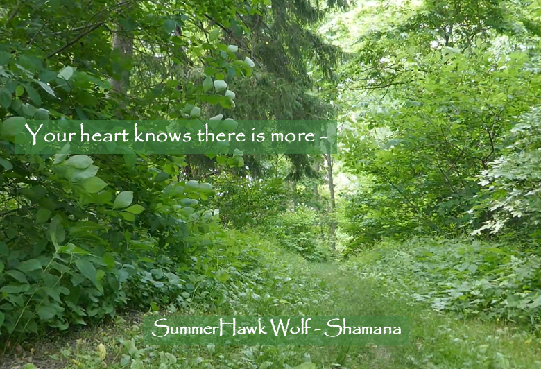SummerHawkWolf's tweet photo. Your heart knows there is more ❤ 
- that there is a place of peace you yearn to find deep within.

Wellness and wholeness come from releasing what no longer serves us - physically, emotionally, &amp; energetically.

Video on youtube: https://t.co/jxpFItBB2Y https://t.co/ulYmOHRd3N