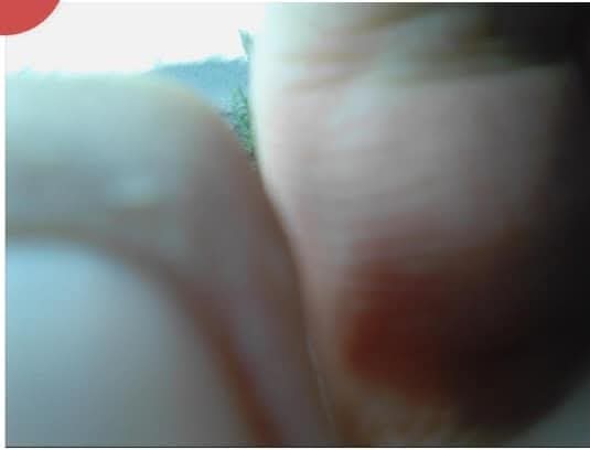JasonWeir001's tweet photo. @Carolyn_Morgan2 @FionaDonoh70421 @Anmaidrinrua 1) There's the UPPER branches of a tree which from the picture is at eye level.

2) The corner of a roof located in Fortwilliam Grange. I've circled red in picture below.

3) Distant houses. I count 3 roof tops at Dunlambert Dr/Seabourne Parade junction. 

4)Hill in distance. https://t.co/FdBWbTlnap