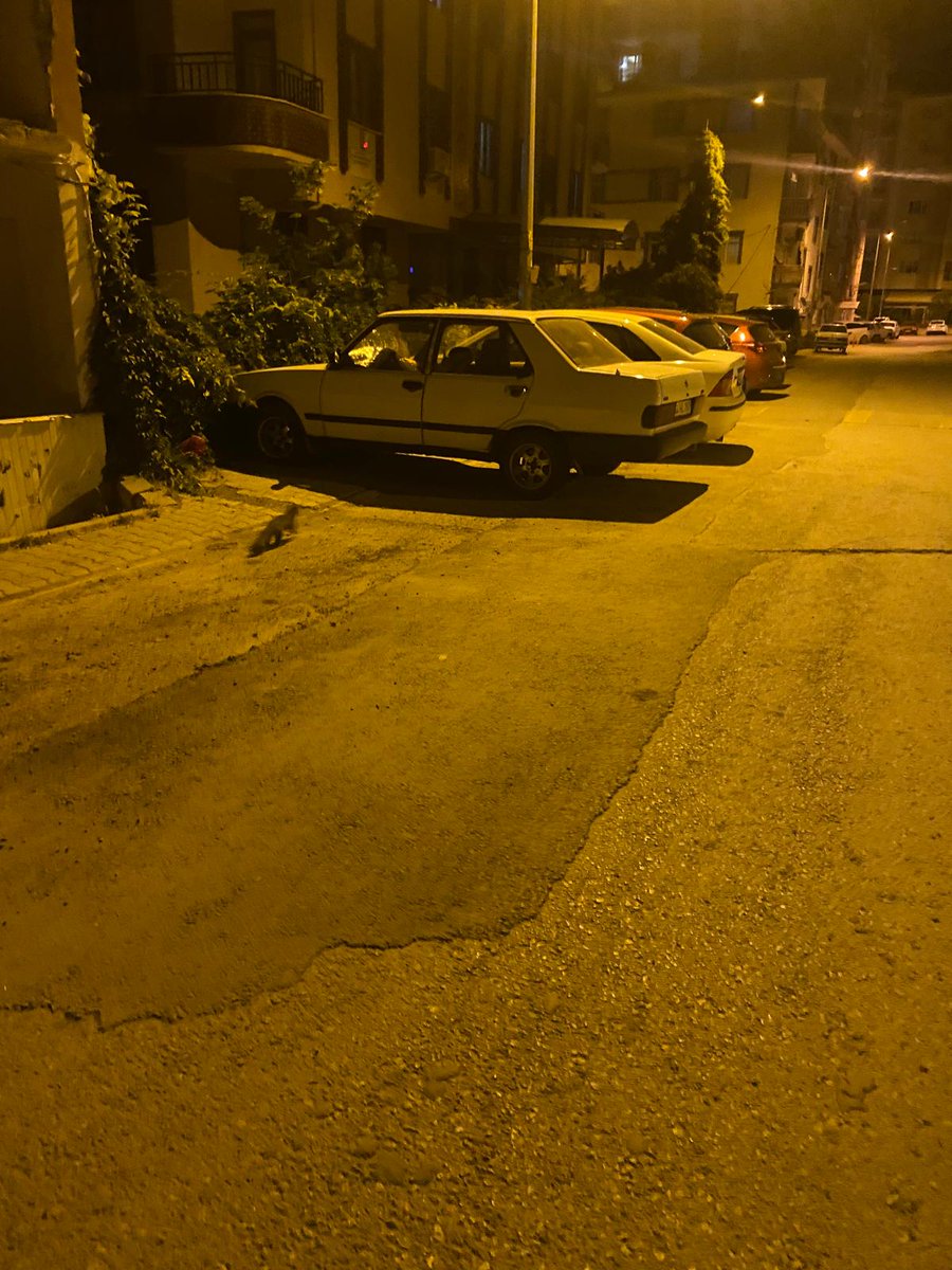 theano_8's tweet photo. @MalatyaDKMP_  Sansarlar doldurmuş sokakları. Herhangi bir bilginiz görüşünüz var mı? https://t.co/QubeYEhC3O