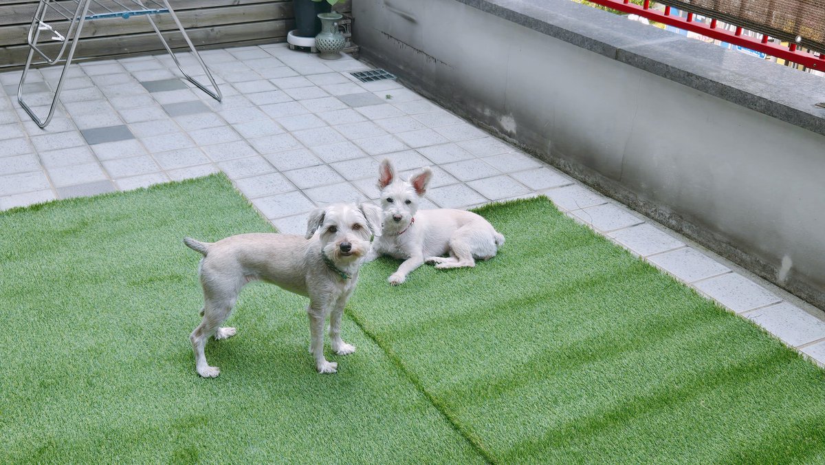 _hellojinx's tweet photo. 애미야 회사 복지가 좋구나 https://t.co/g7YsOfNH3H