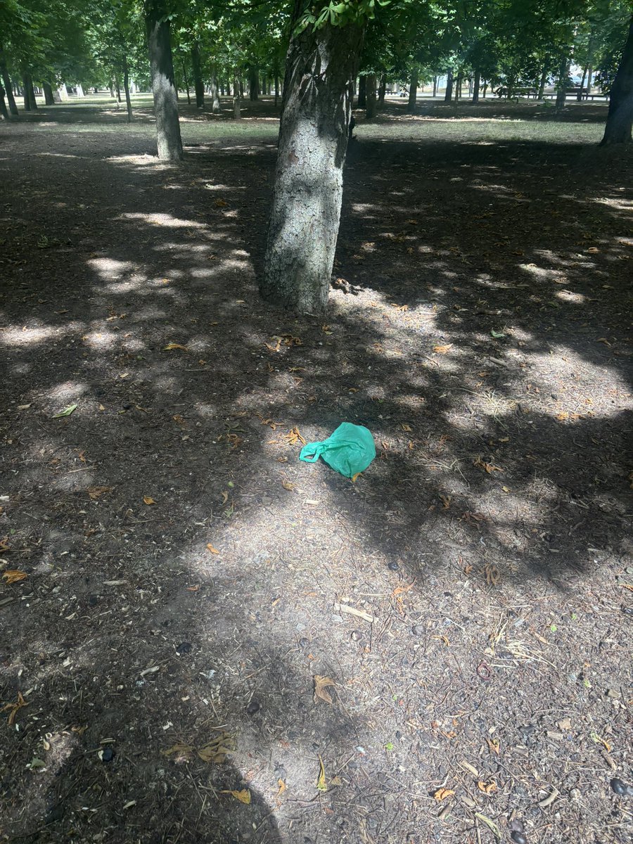 sir_willwall's tweet photo. @Aytoburgos Más de una semana después, La Quinta sigue muy sucia. En cada paso, vayas por donde vayas… Cristales, microplasticos… Mierda, mierda y más mierda. Os podría mandar 1000 fotos.

Sois una p*** vergüenza de Ayuntamiento, charlatanes y mentirosos @wordstime @Andre94bu @cris_ayala_ https://t.co/OiLCTV7yIQ