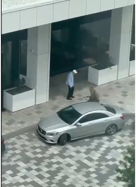 DWellington001's tweet photo. @Anc_Aesthetics You are safer with a mass shooter than a female cop. https://t.co/gDa50RTZsV