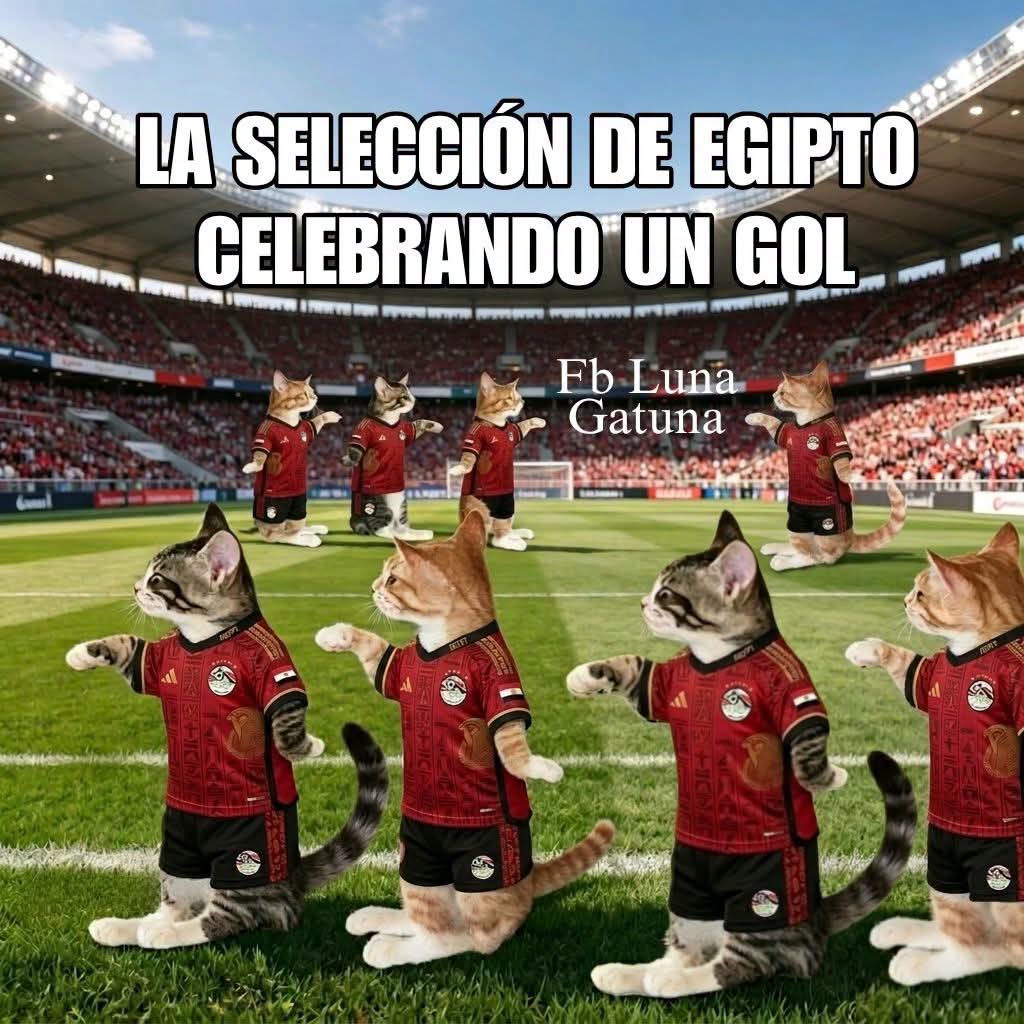 Mapaxitouwu's tweet photo. jeje https://t.co/bYPi9H0rea