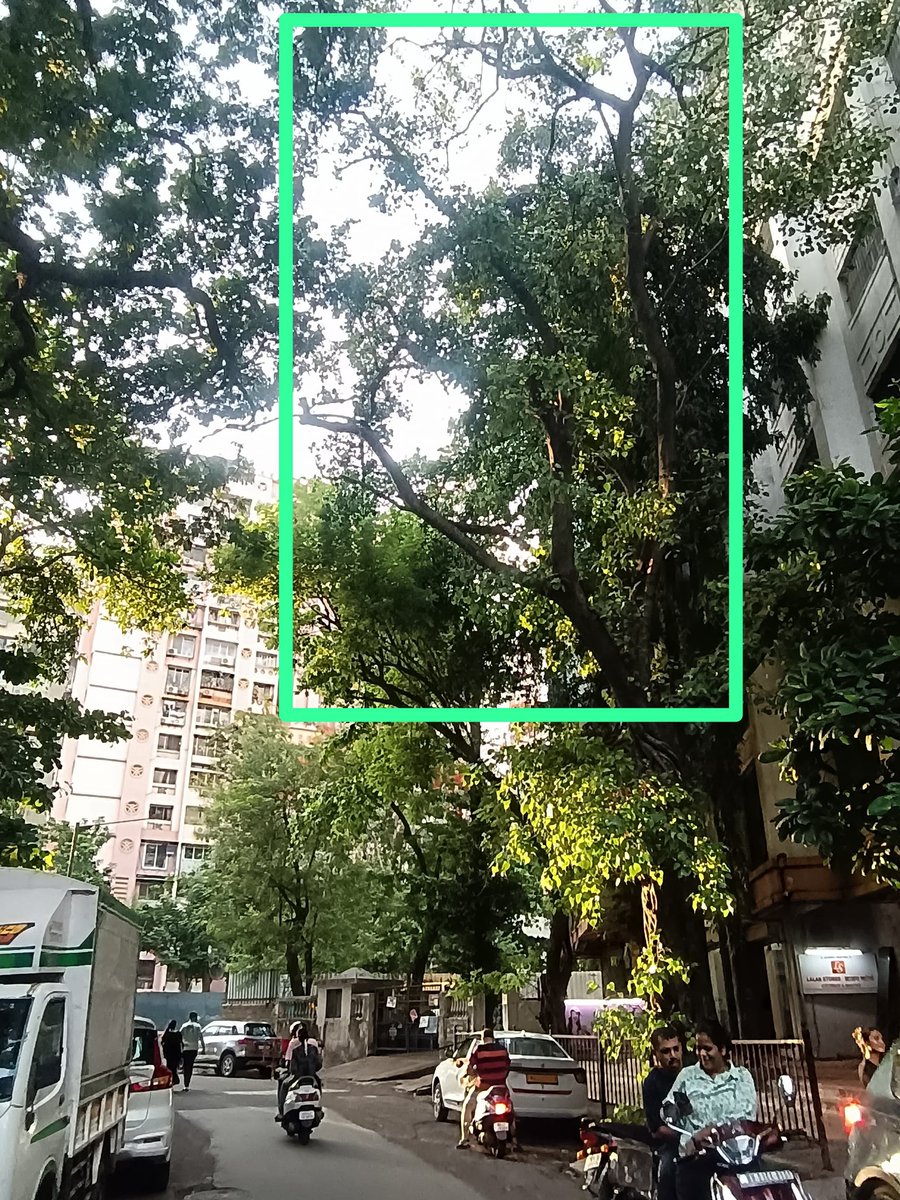 tilaknagarvocal's tweet photo. 🌲 Tree branches dried and prone to fall during monsoon needs trimming outside Blg no 106, near GDs Chinese Corner, Tilak Nagar, Chembur, Mumbai 89.
Requesting urgent action
@mybmc @mybmcWardMW https://t.co/6yGREMeSd7