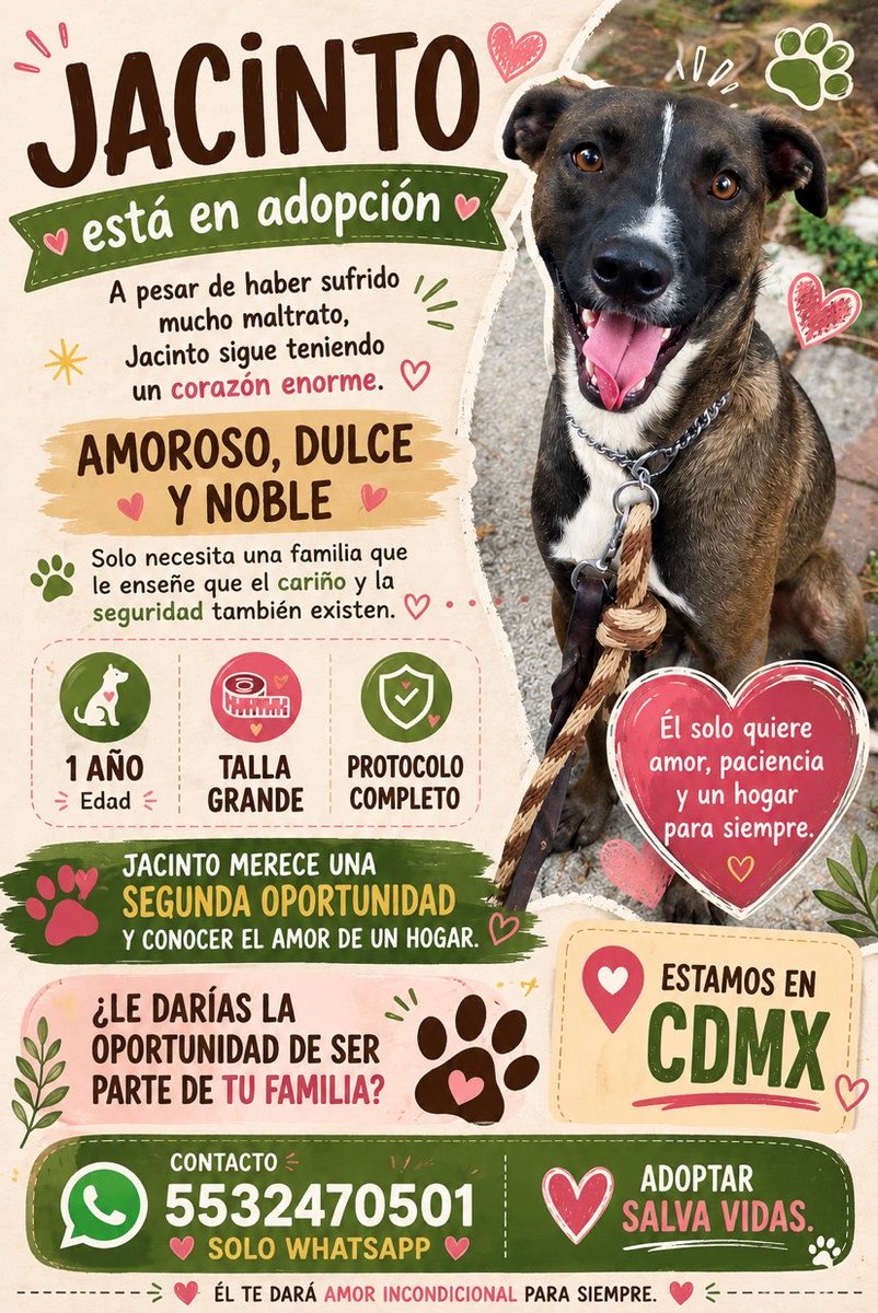 HELA_MORE's tweet photo. Dale una oportunidad a Jacinto. https://t.co/6ah3gXhirZ