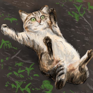 今週の扉絵は「ネコ」の掲示板#537より、 「百万回いいねされたねこ