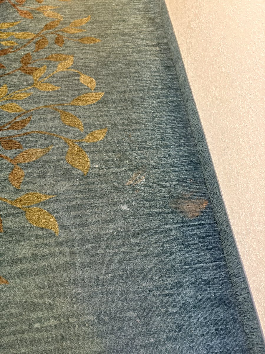 shaychance17's tweet photo. @SonestaHotels i stayed at this location and it was horrible. From the keys not working every time i left my room to the smell in the hallway and rooms . The toilet not flushing to be told i couldn’t switch the room. Not even the elevator worked . Checked out early!! https://t.co/c3pDMNHsIk