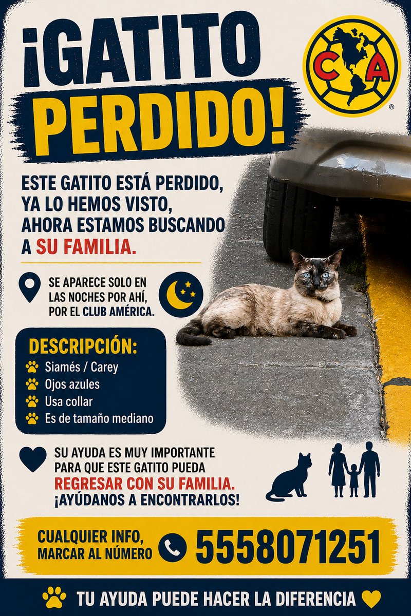 gatitosasalvo's tweet photo. Nos piden compartir https://t.co/UL6NdiKSA3