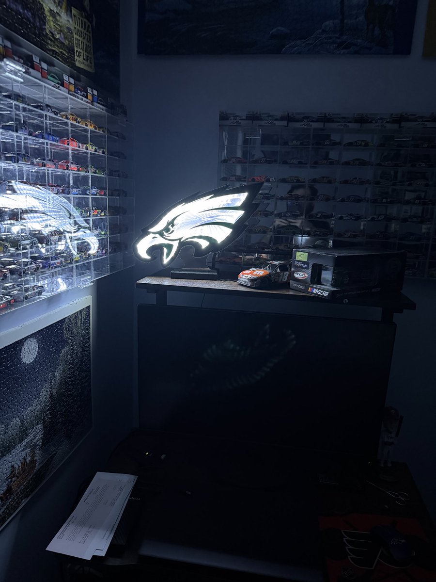 DipperWilliam's tweet photo. My eagles light https://t.co/uqskKZvRRW