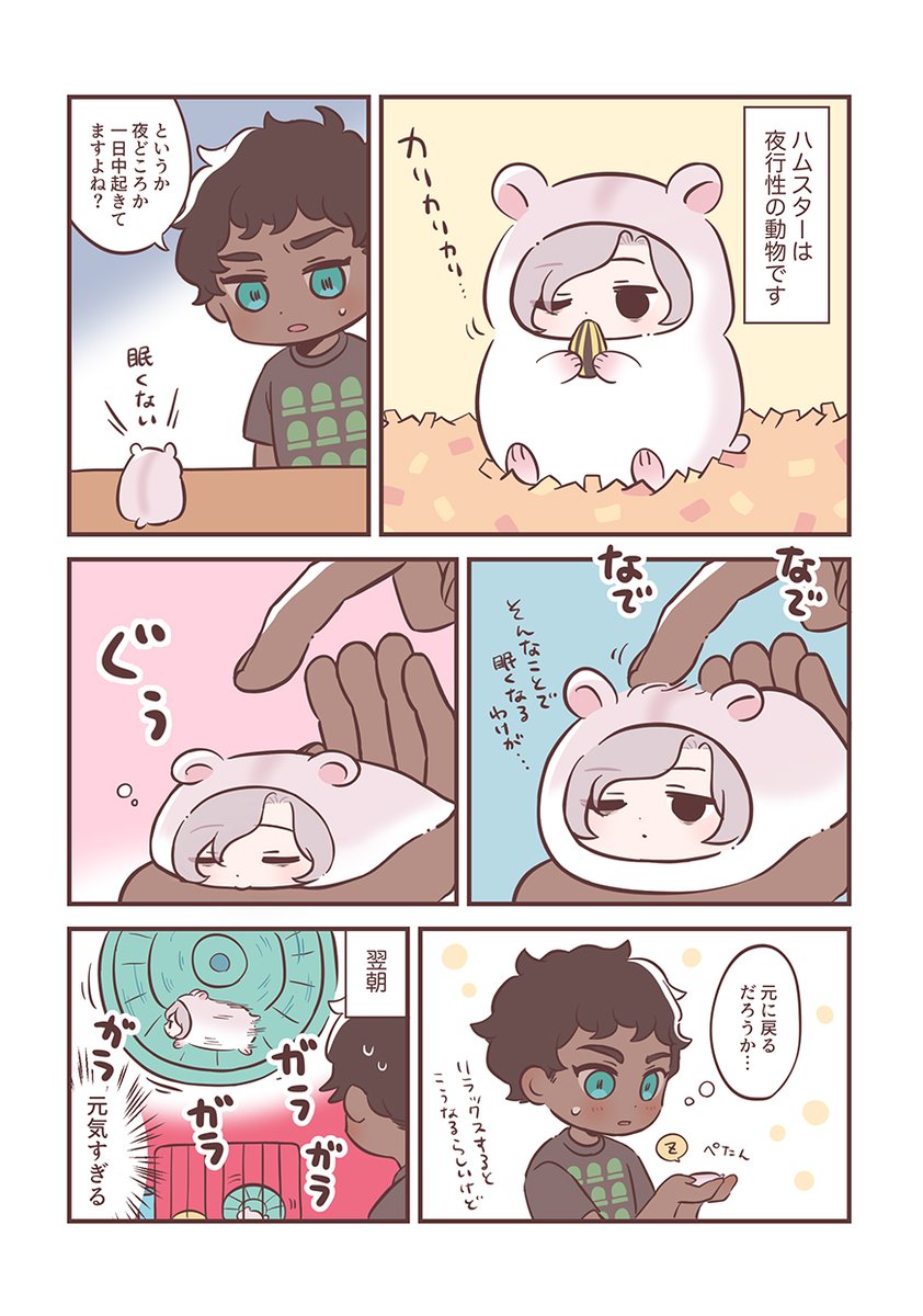 osumo___san's tweet photo. 6/28　星に願いを day1　新刊サンプルです🧸
A5フルカラー/本文P8/会場価格¥400/全年齢
ふわふわなものに包まれているカブミスのゆるゆるショートギャグ漫画集　架空のカブぬいが出てきたりページ数の都合で前書きが無く1ページ目から突然ミスがハムスターになってたりします　後日BOOTHで通販予定です https://t.co/LsafIFmTnk