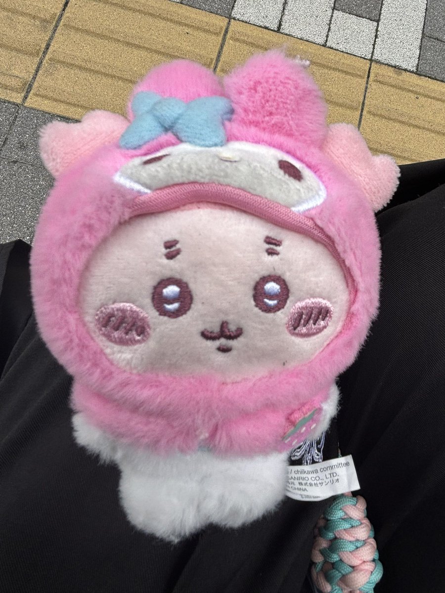 Lionel3l's tweet photo. ぬいの落とし物
6月23日　正午くらい
江坂公園付近で見つけたため、保護をして最寄り警察へ届けました

紐がちぎれてしまっているようです

マイメロとカニちゃんのコラボで、珍しいものだと思います。きっと大切にされていた子なんやろなあと

お心当たりのある方は、警察へお問い合わせください

届け、持ち主

#落とし物
#江坂
#ちいかわ
#マイメロ