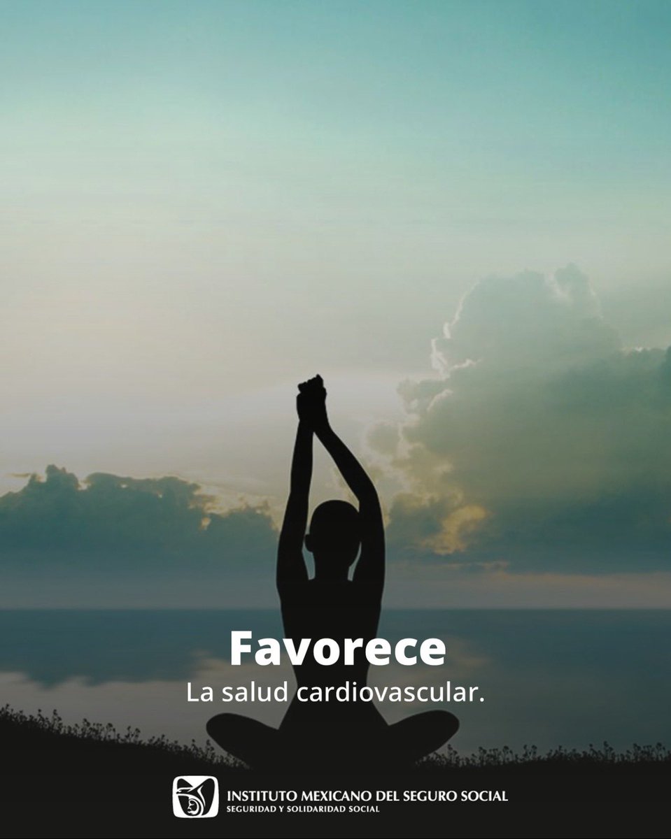 Tu_IMSSDgo's tweet photo. En el #IMSS promovemos estilos de vida saludables. 

🧘🏽‍♀️🧘🏽‍♂️ En el marco de la conmemoración del #DíaInternacionalDelYoga, te compartimos algunos beneficios que esta práctica aporta a tu salud física y emocional. https://t.co/UtqPoUPRMw