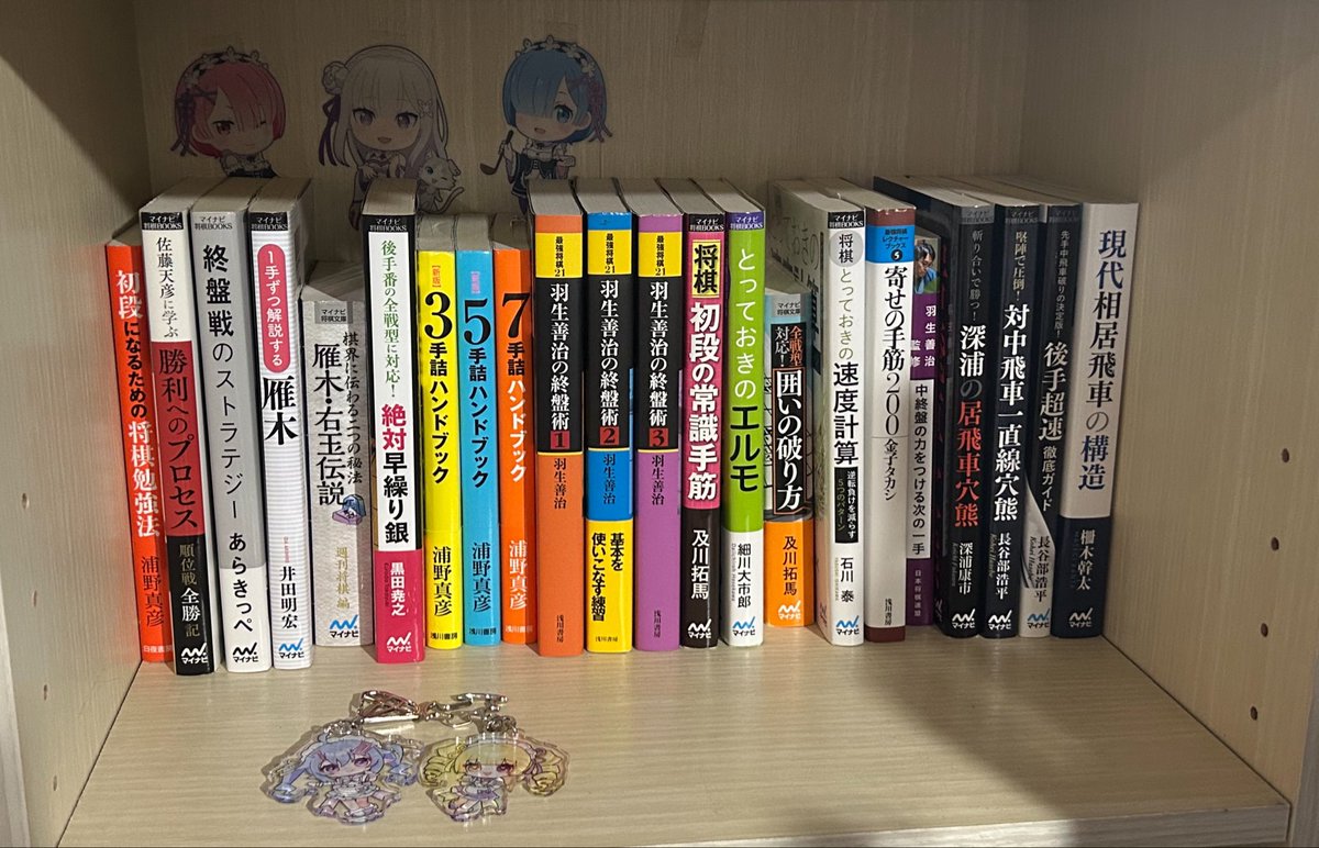 pome_em's tweet photo. #本棚の棋書見せて

バイトのロッカーに入れてる棋書（バイトの休憩中に読むため）とかもあるので全部では無いのですが、ぽめちゃんを支えてくれた自慢の棋書たちです❣️❣️ https://t.co/2UTNogZIpv