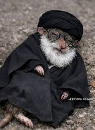 lyaymy201's tweet photo. @toofan_aqsa روحوا ادفنوا جيفتكم خاس في الثلاجة 😂 https://t.co/cqiS2ugNpZ