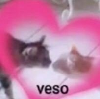 Akko_peep's tweet photo. @Valenxzxft Zitekeremos 💗 https://t.co/XDoOAYyfxn
