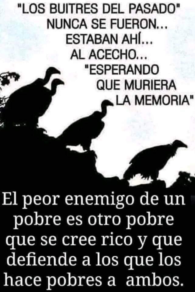 JohaYPunto tweet media
