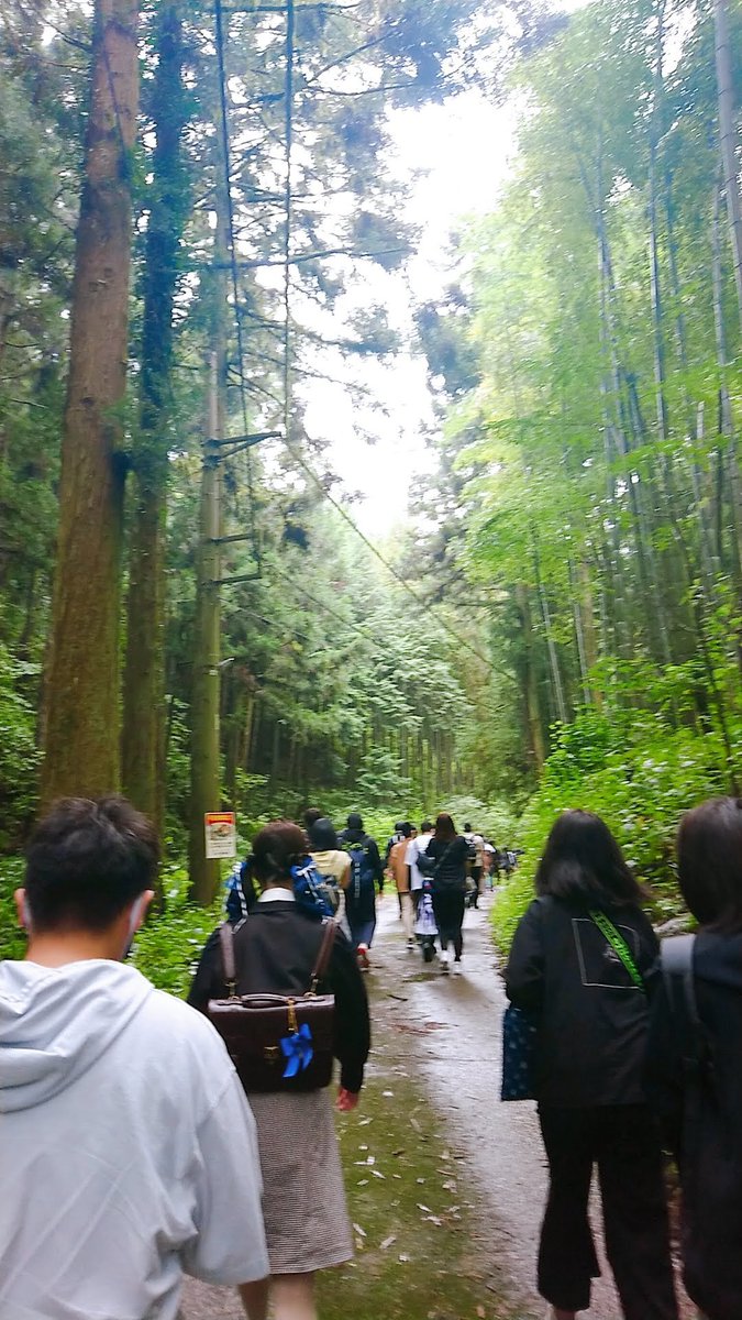 Xis_mylife's tweet photo. 山、向かう道もガチ山でよかったよな…… https://t.co/WOMdysL4E3