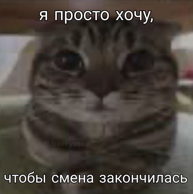 p9ghi's tweet photo. доброе утро всем кроме безработных https://t.co/26H8rwzhsI