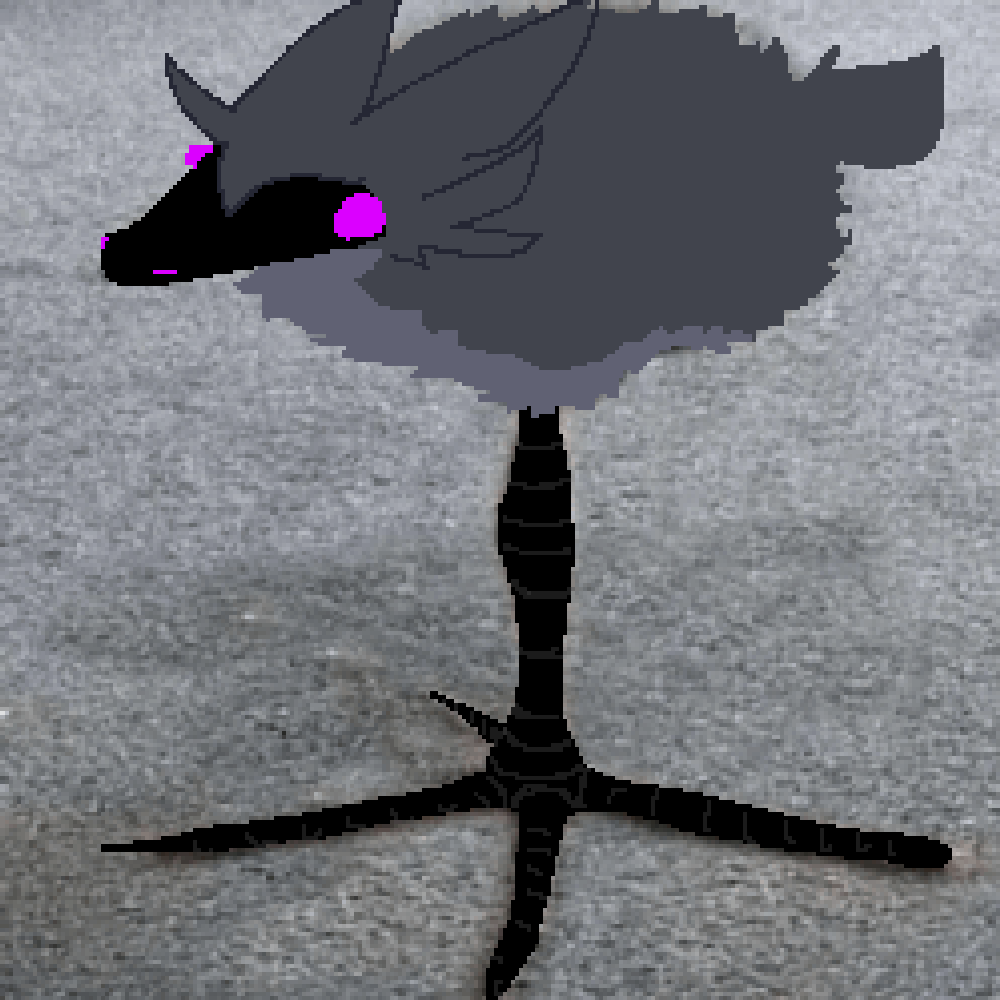 tostadora_toste's tweet photo. DAMN #DAMN #BIRD #TOSTE #DAMNBIRD https://t.co/fKehAoG2v6