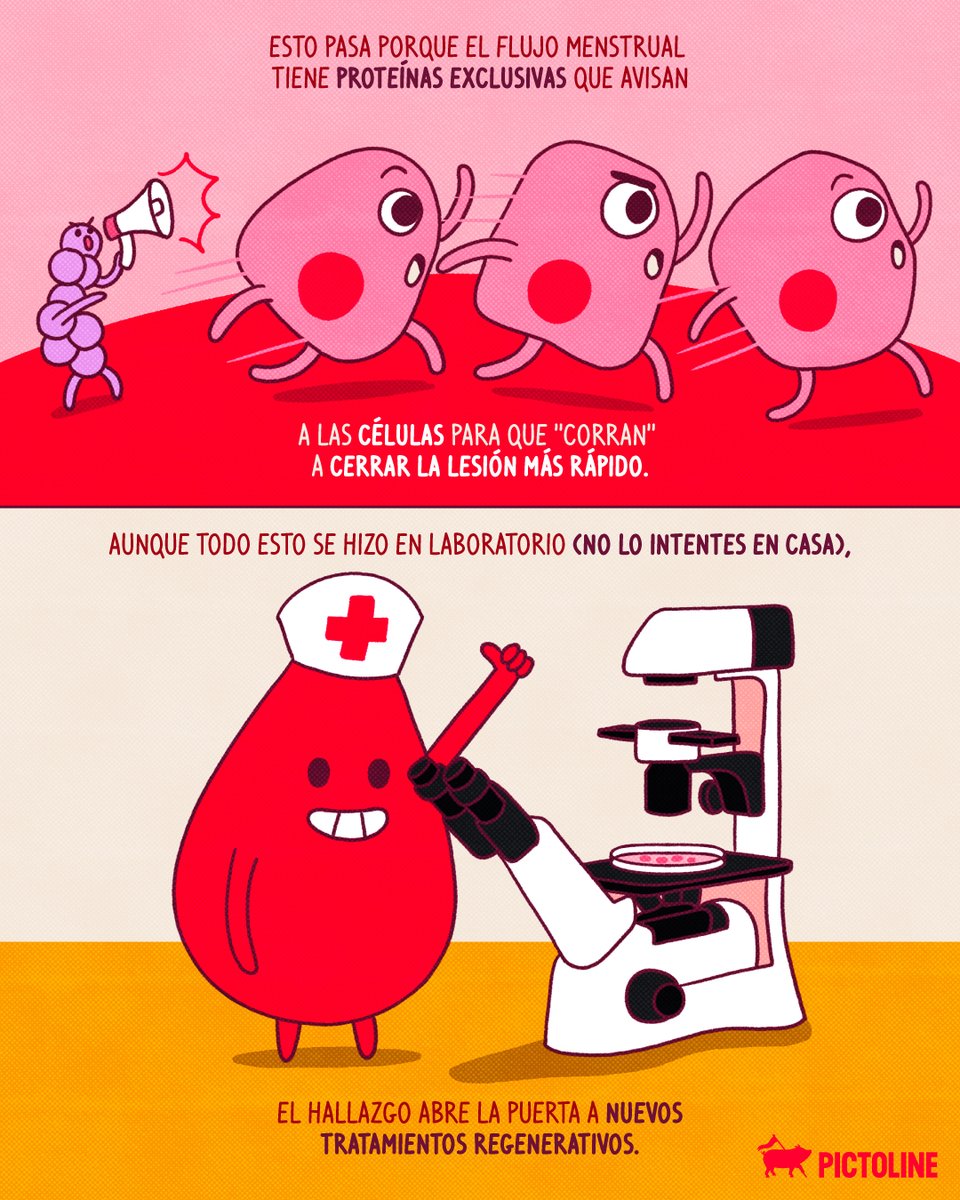 pictoline's tweet photo. Para no variar, la ciencia apenas encontró algo donde no había mirado 🩸

#salud #ciencia #pictoline https://t.co/xtHGsP5Me8