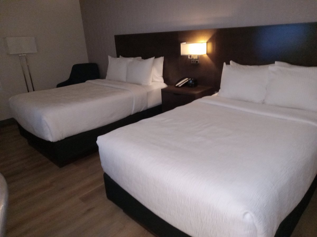 JOHNBROUMAS's tweet photo. Richmond BC Monday June 22 2026 my Hotel room today. 
McDonalds for breakfast. 
McDonalds for chocolate sundae. Richmond Centre shopping today. A&amp;W Papa Burger combo for lunch. Buddy Burger, Pepsi, Popcorn, Chocolate Bar for dinner 🙂🍔🍟🥤🍨🍔🍟🥤🍔🍿🍫🥤⚾🇨🇦⚽ https://t.co/5qK0AYRtc7