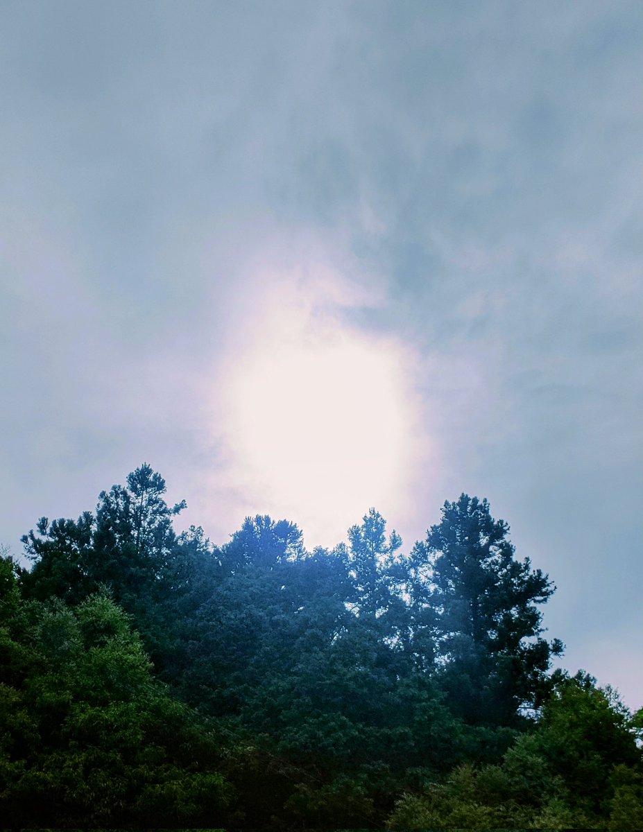 QFSgksy's tweet photo. おはようございます🌞 
同じ向きに飛び出した2枚を
🙂‍↕️🌞🫧 https://t.co/69QVH0tmBs
