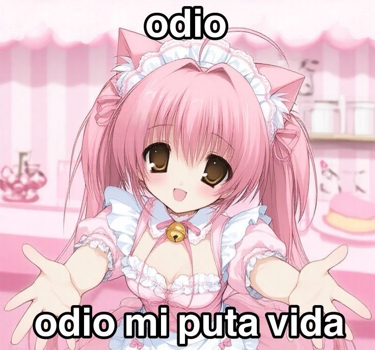 Memes para Otakus Gaymers de Closet en Inglés tweet media