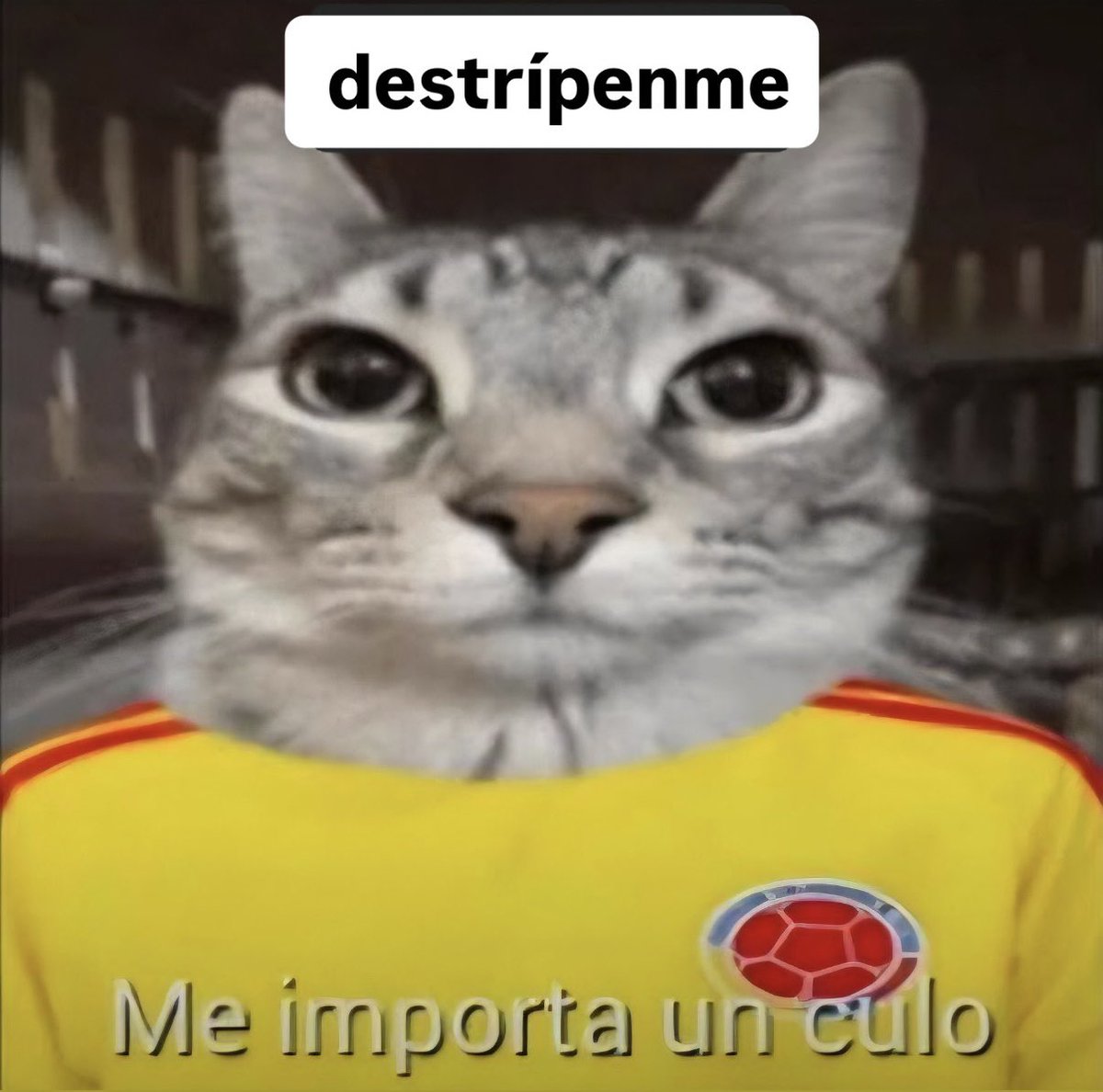 soymimila's tweet photo. Desde ayer ya me vale mondá todo, comamos mierda estos 4 años y roguémosle a dios o a quién sea que en el 2030 todavía exista la posibilidad de votar en unas nuevas elecciones https://t.co/mhRK5gr2lM